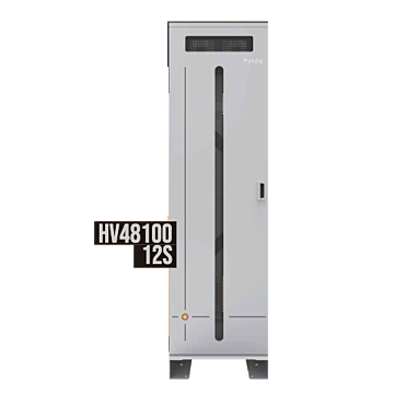Pytes Energy HV48100 12S Cabinet and BMU Kit