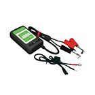 UPG Battery Maintainer 4000 12-Volt 4A LFP and SLA charger