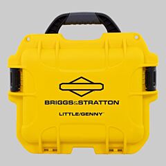 Briggs & Stratton LG-287-12 Little Genny 300 Watts Emergency Power Kit