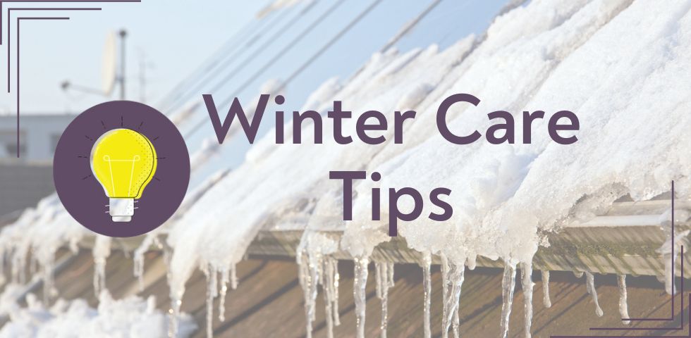 Winter Care Tips